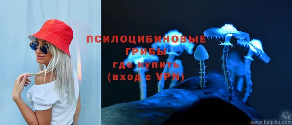 mdpv Усинск