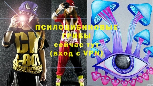 mdpv Усинск