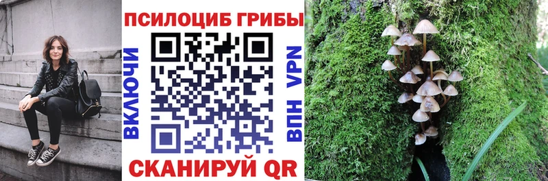 Купить где  Ак-Довурак  Псилоцибиновые грибы мухоморы 